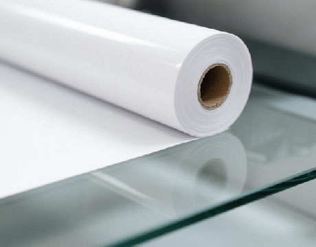 Direct to Film Transfer Paper